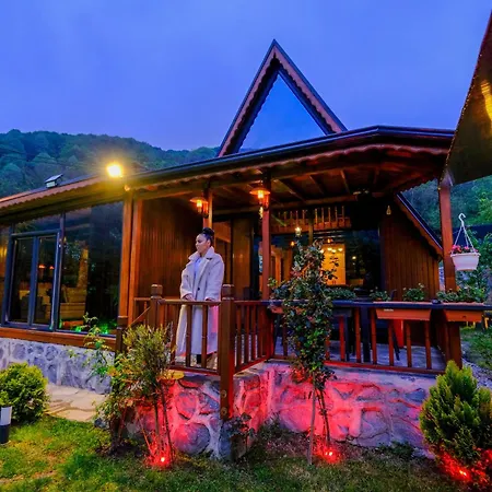 Holiday home Bekabungalov-suit-alkolsuez Aile Bungalovu *