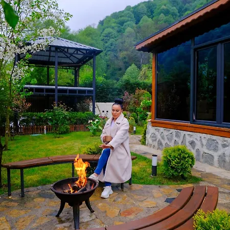 Bekabungalov-suit-alkolsuez Aile Bungalovu * Sapanca