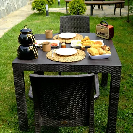 Holiday home Bekabungalov-suit-alkolsuez Aile Bungalovu Sapanca