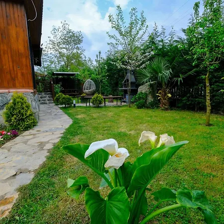 Holiday home Bekabungalov-suit-alkolsuez Aile Bungalovu