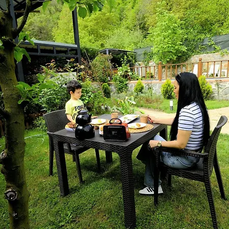 Casa vacanze Bekabungalov-suit-alkolsuez Aile Bungalovu Sapanca