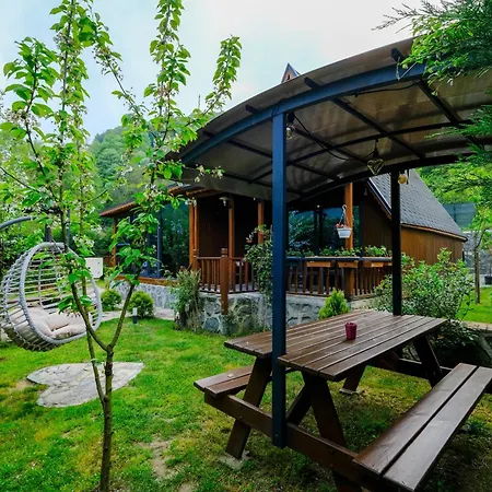Bekabungalov-suit-alkolsuez Aile Bungalovu * Sapanca